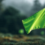 Minimalist shot of a bright green flag symbolizing a healthy relationship and emotional maturity.